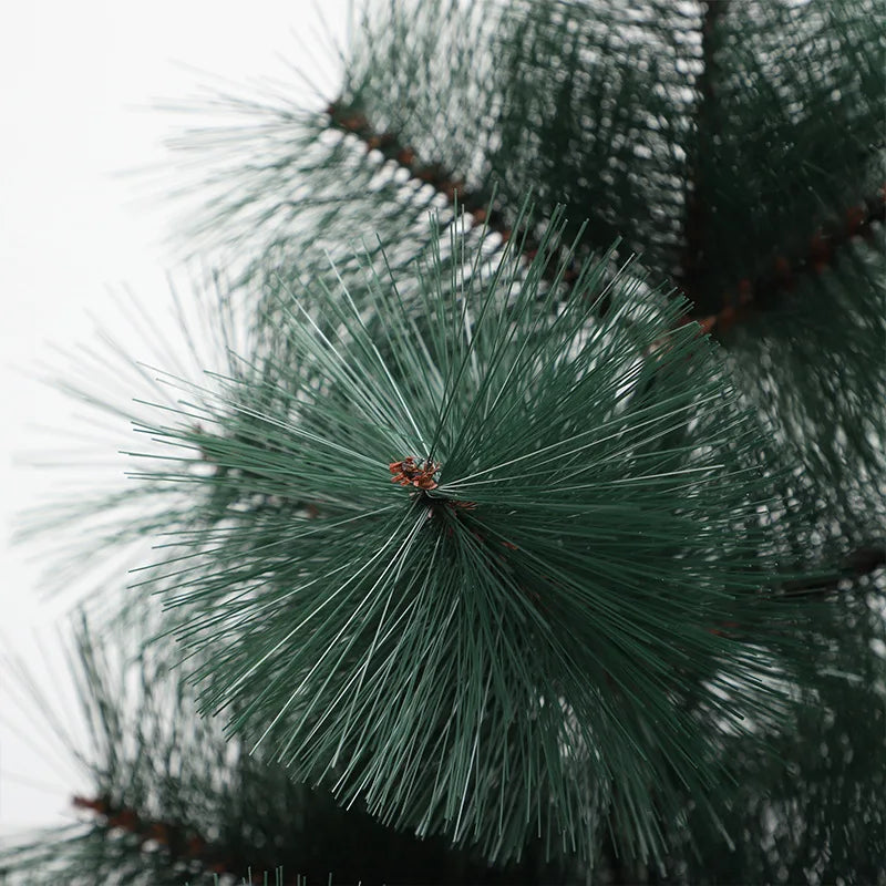 Pine Christmas Tree